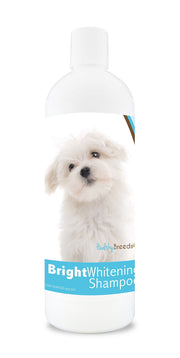 Healthy Breeds flacon frontal du shampooing Maltese Bright montrant l'étiquette et bénéfice éclat