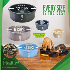Healthy Surplus gamelle en usage avec chat ménageage propre et pratique