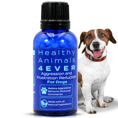 HealthyAnimals4Ever boîte devant montrant le format kennel et avantage économique