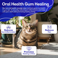 HealthyAnimals4Ever mains administrant comprimé, prise sans stress