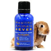 HealthyAnimals4Ever paquet avant montrant format 300 comprimés et bénéfice praticité