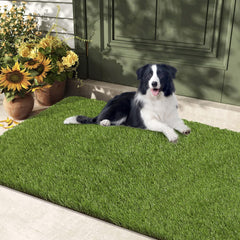 HEBE RUGS vue avant du tapis herbe réaliste pour apprentissage propreté