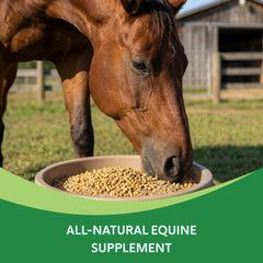 Cuillère doseuse et poudre HEIRO Equine Insulin Rescue prêtes à être administrées facilement