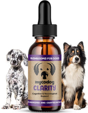 Hemp Dog Health emballage MycoDog Clarity montrant l’étiquette claire et bénéfice mémoire