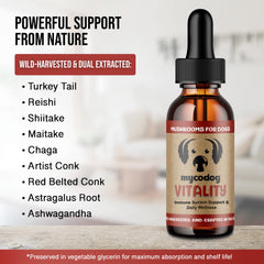 Hemp Dog Health comprimé dans la main pour comparer l'échelle et dosage