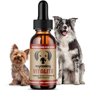 Hemp Dog Health emballage MycoDog Vitality montrant l'étiquette et bénéfices