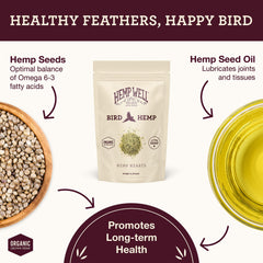 Hemp Well coeurs de chanvre détaillés visibles à l'intérieur pour nutrition concentrée