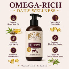 Hemp Well gros plan étiquette lisible garantissant ingrédients biologiques
