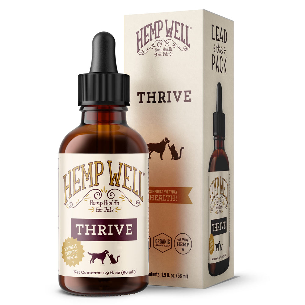 Hemp Well flacon face avant montrant le format pratique pour dosage quotidien
