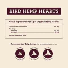 Hemp Well texture gros plan montrant graines décortiquées et facilité d'ingestion
