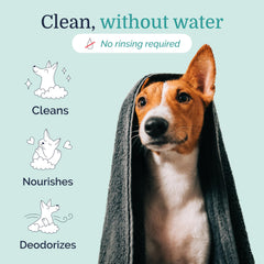 Hepper flacon avec mousse prête à l'emploi pour application sans eau