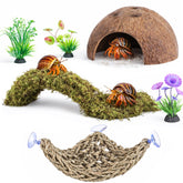 HERCOCCI kit complet disposé dans un terrarium montrant diversité et utilité