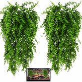 HERCOCCI vue avant du lot 2 plantes, présente une décoration résistante