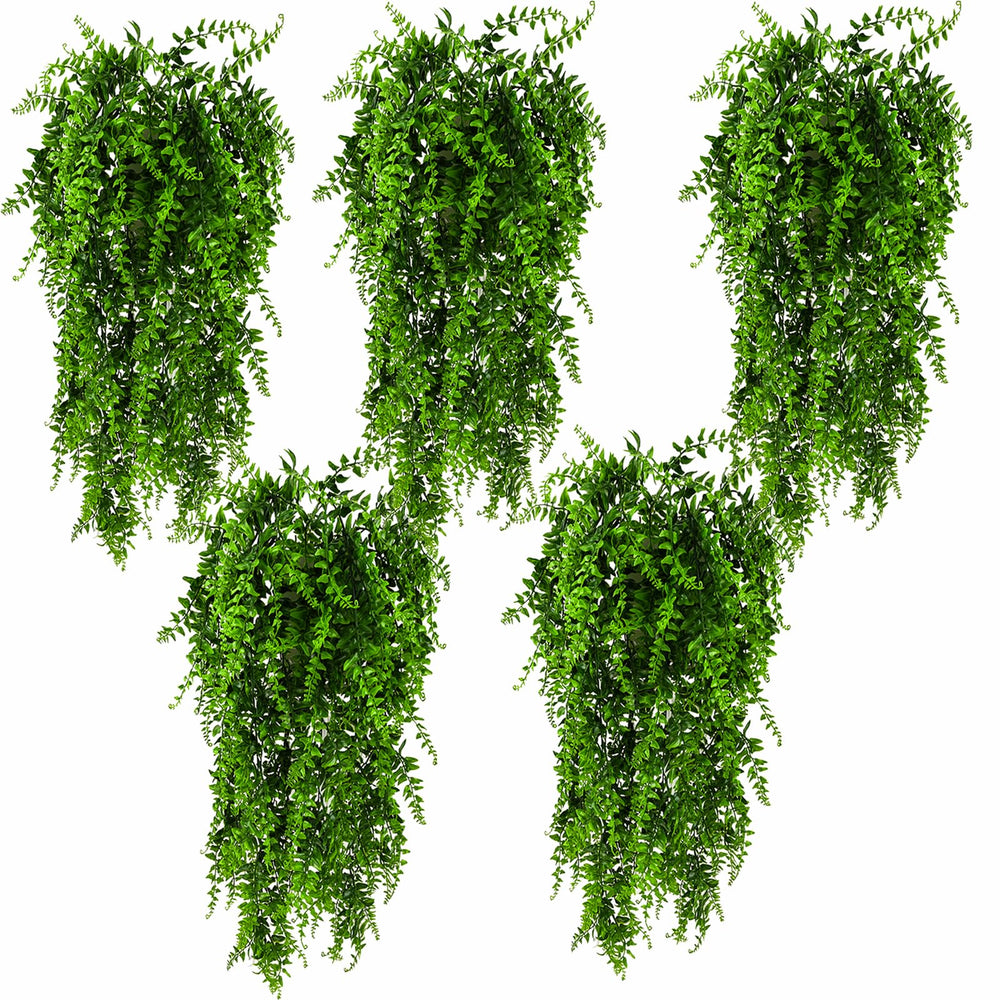 HERCOCCI emballage du lot 5 plantes montrant contenu et longueur utile