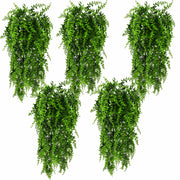 HERCOCCI emballage du lot 5 plantes montrant contenu et longueur utile