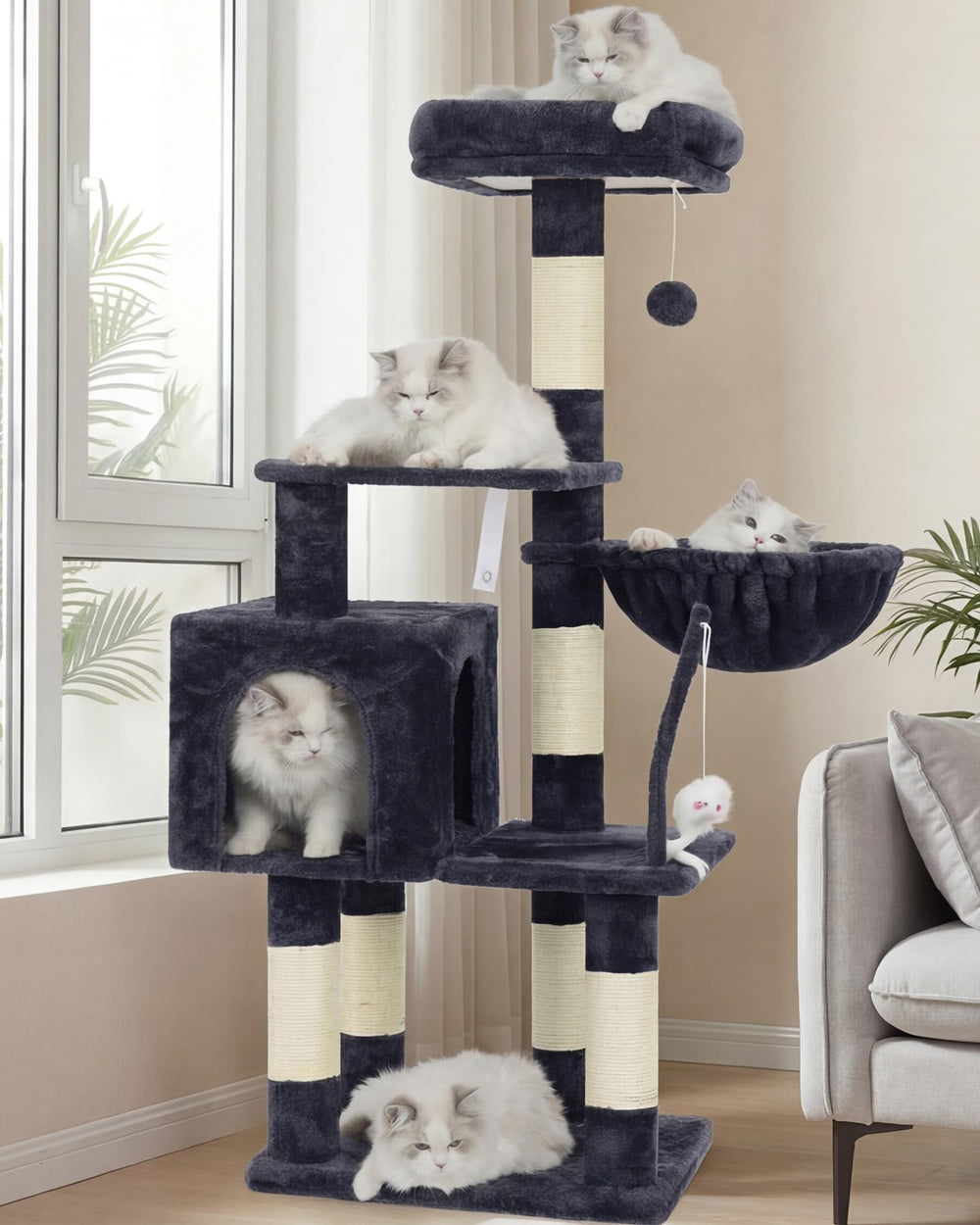 Heybly vue frontale du meuble complet, maintien stable pour jeu