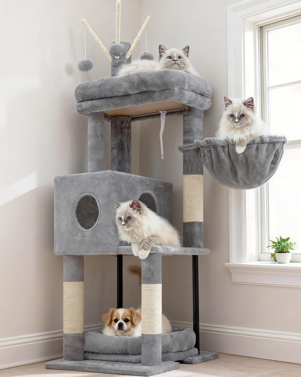 Heybly arbre à chat vue frontale montrant stabilité et multi-niveaux
