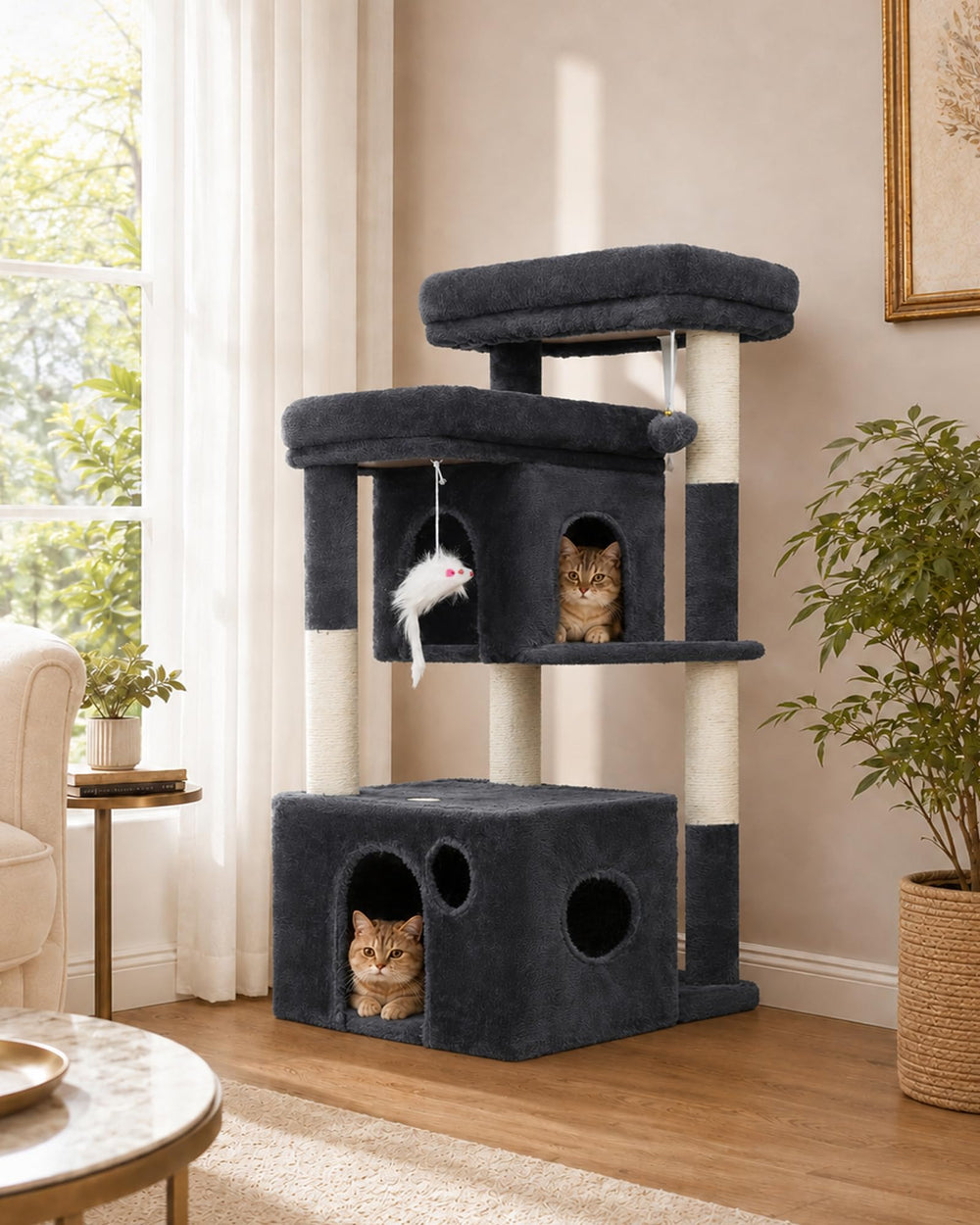 Heybly arbre à chat face avant montrant stabilité et design compact