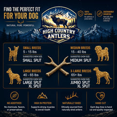 High Country Antlers chien moyen mâchant l'antler fendu pour stimulation durable