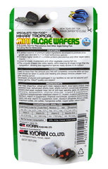 Gros plan sur une galette Hikari Mini Algae Wafers et sa texture ferme bénéfique