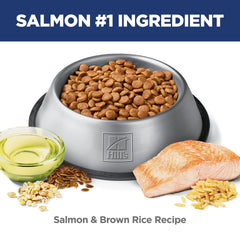 Hill's Science Diet chien mangeant montre facilité d'alimentation