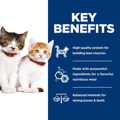 Hill's Science Diet gros plan sur la texture hachée, facilité de mastication pour chatons