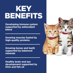 Hill's Science Diet texture de croquette pour bonne digestibilité chez chatons