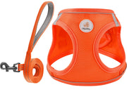 Hipubby harnais face avant montrant coupe step-in et confort