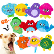 HOESDA pack avant montrant 10 jouets marins et attractivité sonore