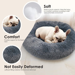 Hoewina lit à côté d'un coussin pour comparaison d'échelle pratique