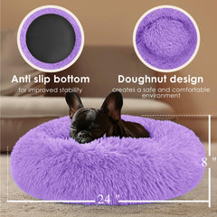 Hoewina petit chien utilisant le panier pour se détendre