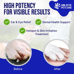 HOLISTIC PET CARE pulvérisation sur pelage montrant application sans contact