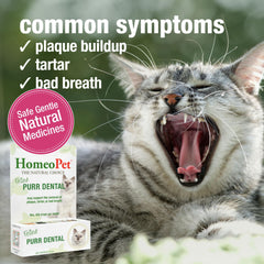 HomeoPet distribution goutte à goutte Feline Purr Dental montrant dosage précis et facilité