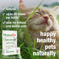 HomeoPet gros plan liquide Feline Purr Dental illustrant texture claire et dosage sûr