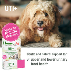 HomeoPet étiquette détaillée illustrant ingrédients homéopathiques et sécurité