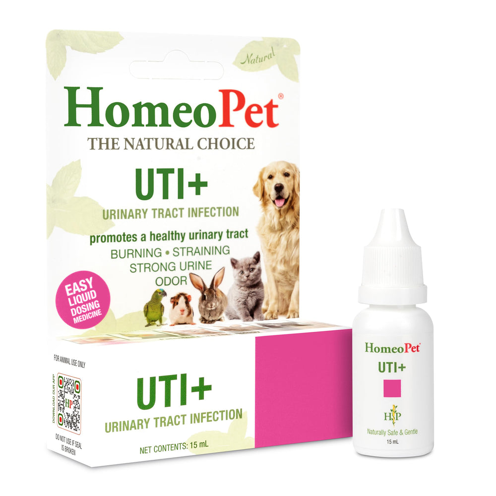 HomeoPet flacon UTI+ face montrant la présentation facile à utiliser