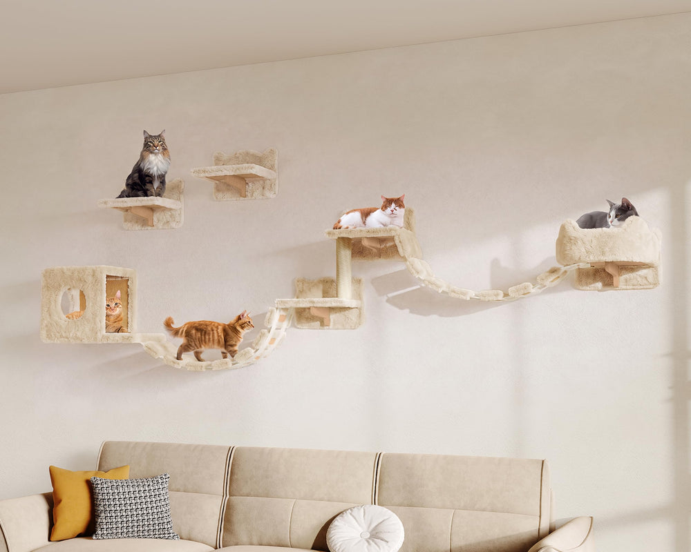 Homiflex vue avant montrant l'ensemble mural et espace gagné