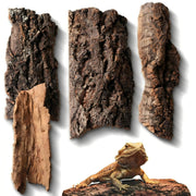 Homoyoyo écorce de liège face avant montrant abri naturel
