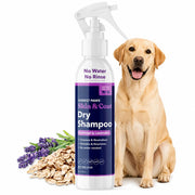 Honest Paws bouteille frontale montrant design et taille pratique