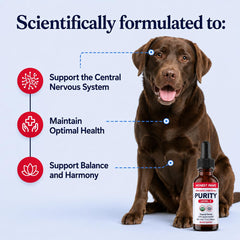 Honest Paws gros plan étiquette détaillant oméga 3‑6‑9 et traçabilité