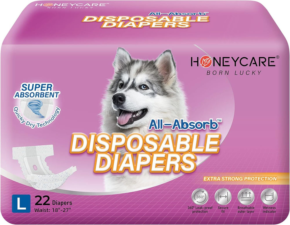 HONEY CARE culotte L emballage montrant 22 unités et informations produit, pratique pour transport