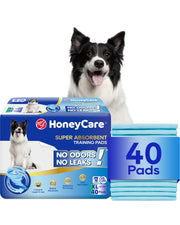 HONEY CARE paquet recto montrant quantité et dimensions, aide au choix