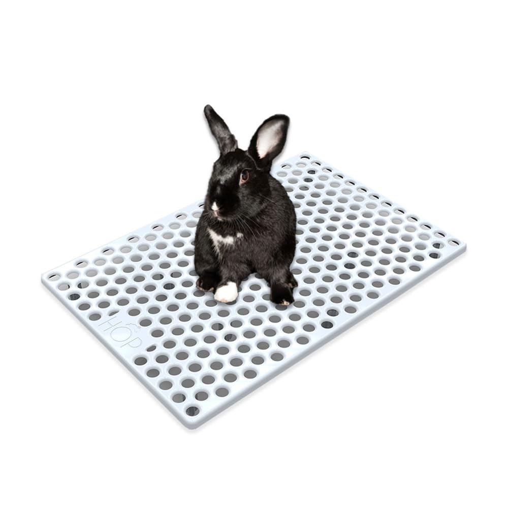 HOP grille face avant montrant la surface propre et l'ajustement sûr