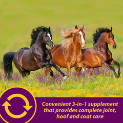 Horse Health cheval mangeant mélange pour administration facile