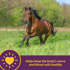 Horse Health gros plan sur la texture des crumbles, facile à mélanger