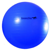 Horsemen's Pride vue avant emballage montrant la balle et la pompe, durable