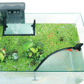 HOZOE barrière flottante vue face montrant séparation et protection des plantes flottantes