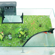 HOZOE barrière flottante vue face montrant séparation et protection des plantes flottantes