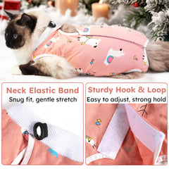 Hpetppy chat porte la combinaison en train de manger sans gêne