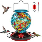 HTHCSEFL mangeoire en verre avant élégant, attire les colibris